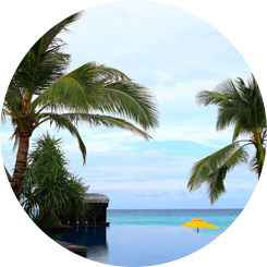 숙박/스포츠 예약업체